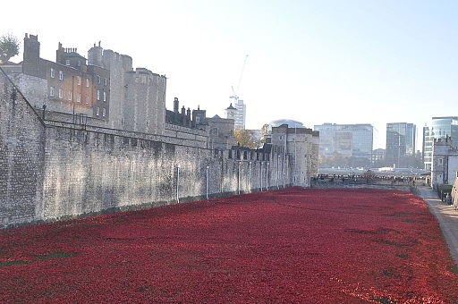 Blood Swept Lands and Seas of Red, Poppy installation art at the Tower of London, morning of 6 November 2014 View looking S of West Moat - Photo Credit: The Land