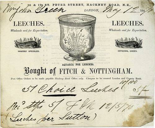 1870 receipt for the purchase of medical leeches from Fitch & Nottingham, London. From Swindon Local Studies Collection.