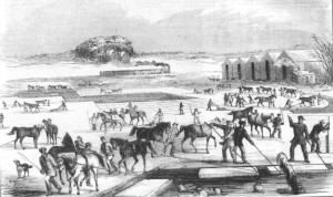Ice Harvesting on Spy Pond 1854, Arlington MA USA